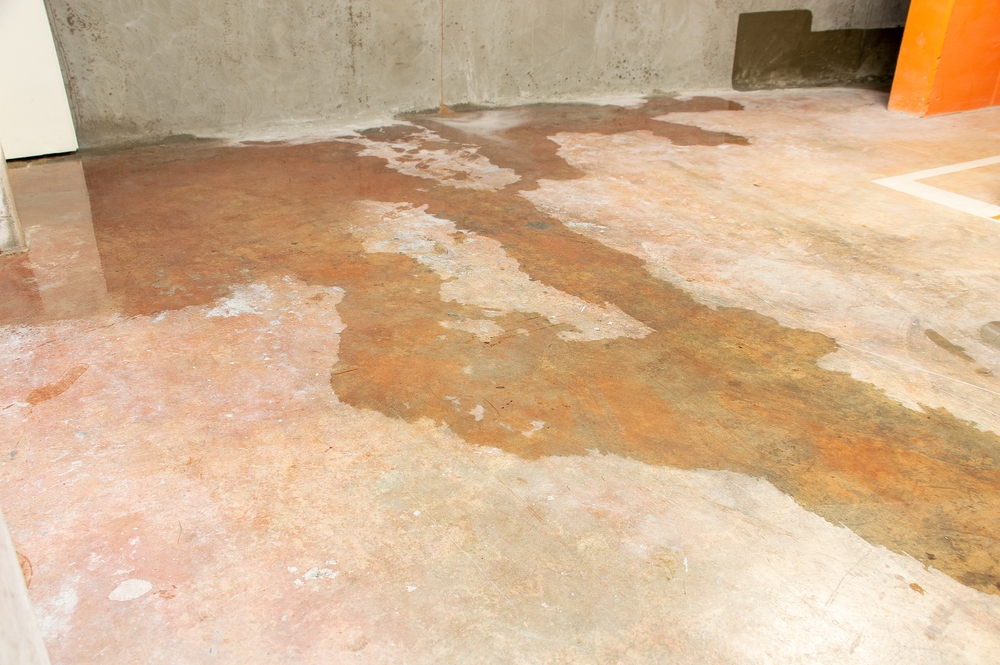 Water,damage,in,basement,caused,by,sewer,backflow,due,to