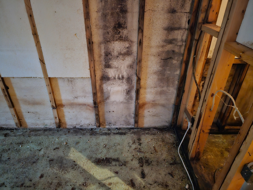 A,view,of,a,basement,room,that,has,had,the