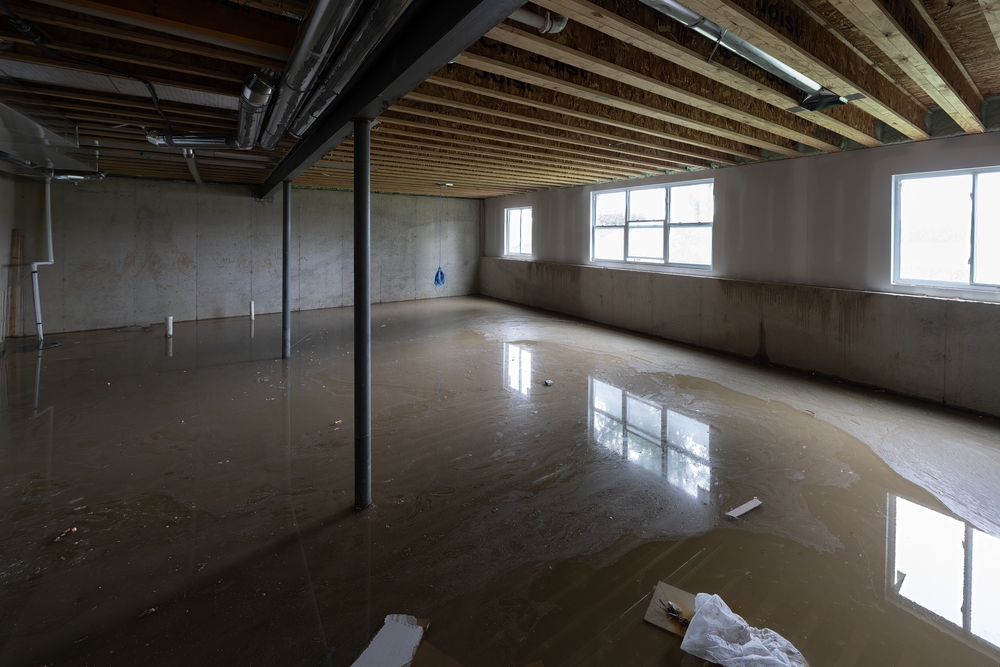 Sump,pump,failed,and,basement,has,flooded,with,water