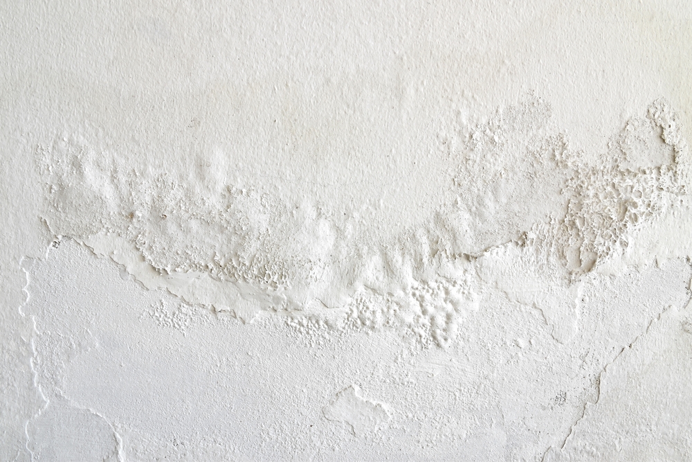 Moisture,damaged,wall,paint,,humid,weather,in,rainy,season,causes